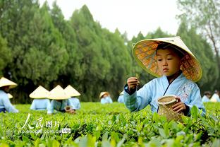 半岛电竞下载官网安卓截图2